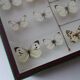 25 ancient stuffed butterflies under frame era 1930