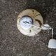 Vintage marbled Murano glass pendant light.