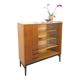 Design Mezulanik showcase with shelves