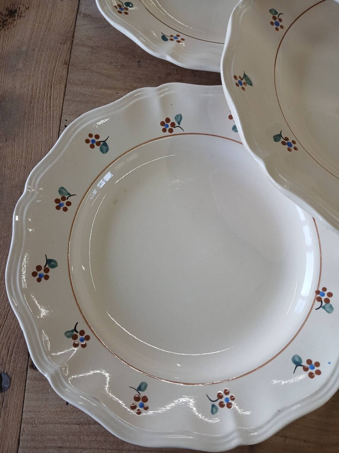 9 old flat plates Digoin Sarreguemines