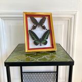 Naturalized butterfly frame