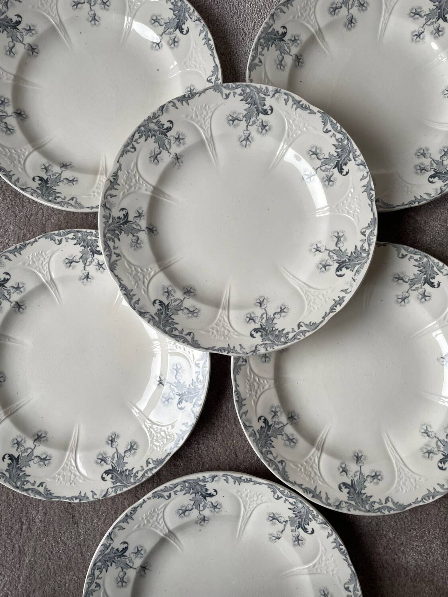 6 Flat Plates Terre de Fer Longwy Model Lorrain