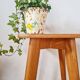 Wooden stool with tapered legs