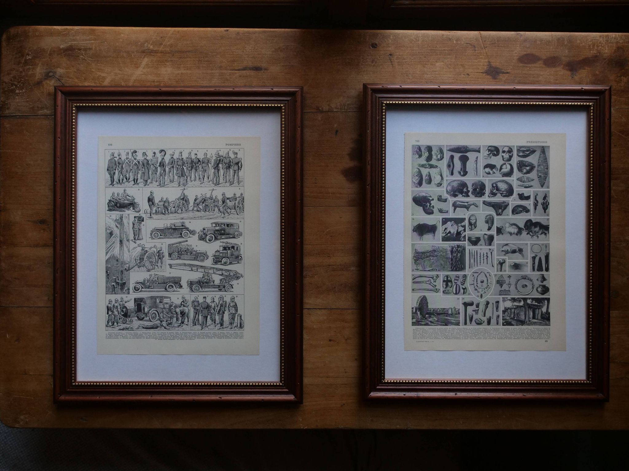 Original lithographs on gardens and ornamental trees