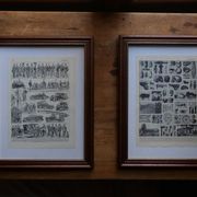 Original lithographs on gardens and ornamental trees