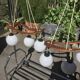 2 Rispal pendant chandeliers with 3 lights