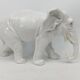 Capodimonte ceramic elephant 18-19th century (broken ears)