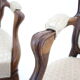 Pair of original danish rococo chairs 1900s