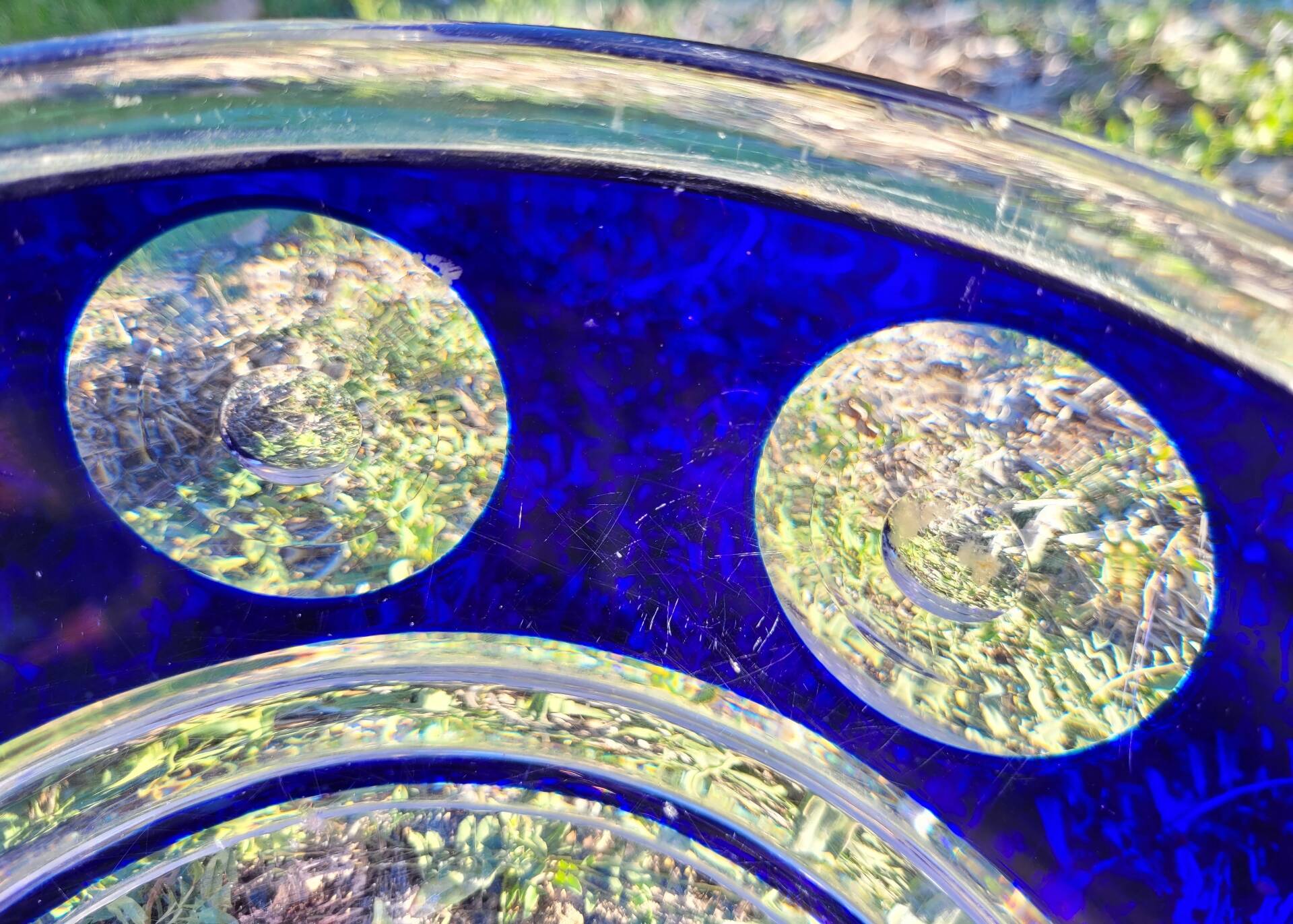 cobalt blue glass bowl with round lenses