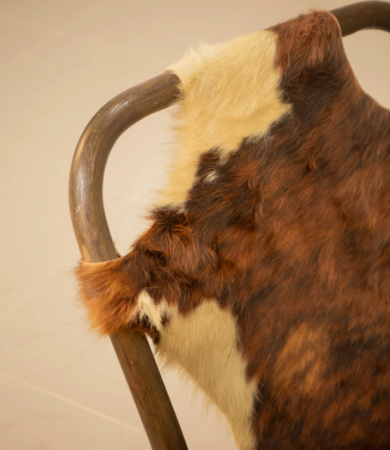 Paire de fauteuils bambou et cuir par Rohe Noordwolde 60's