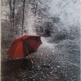Photo my umbrella