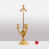 Eugène Bazart Paris. Gilded bronze hot water bottle lamp. Circa 1880.