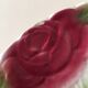 Old slip plate decorated with Majolica roses