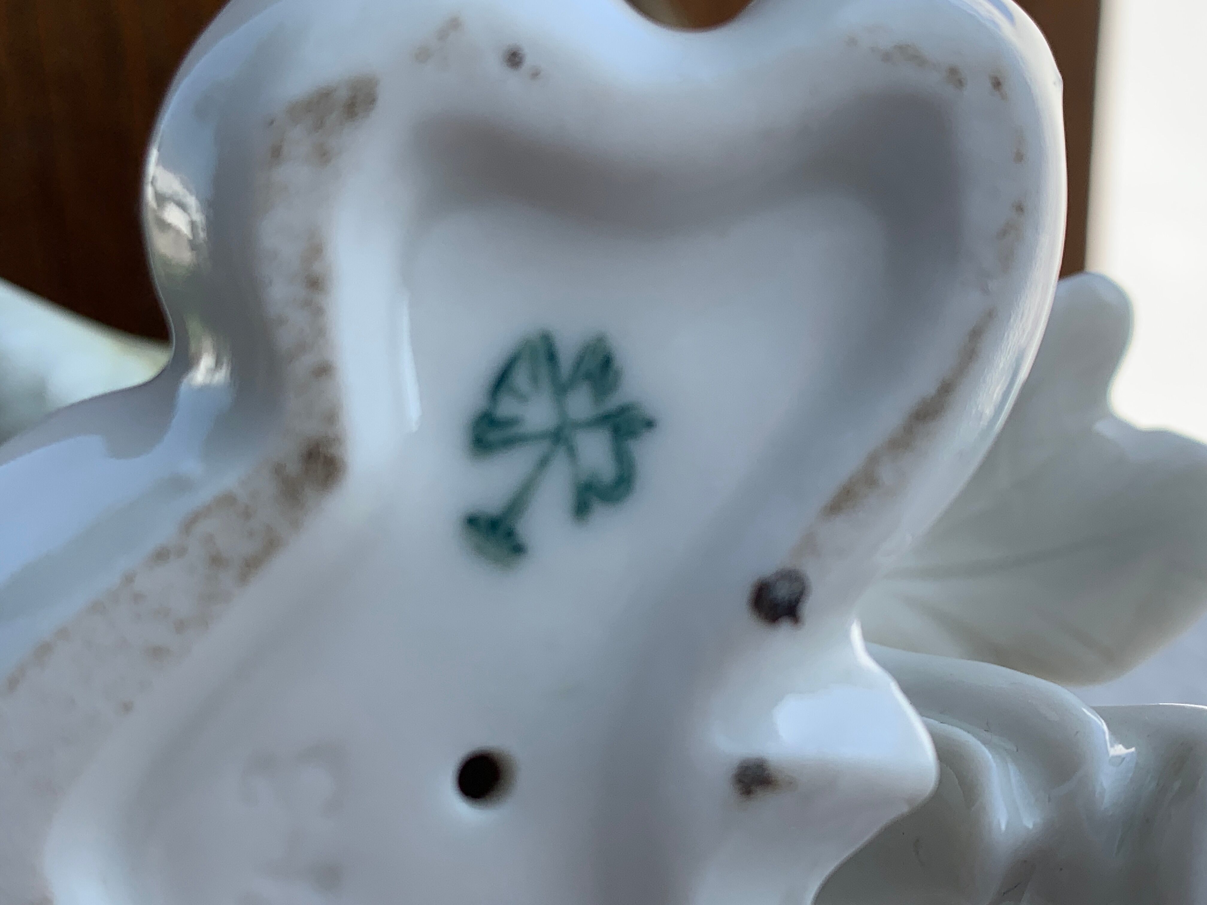 Bird numbered and signed Karl Ens, in Saxon porcelain, nineteenth century