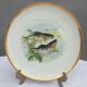 Set 12 plates porcelain fish edge laurel gold Bernardaud
