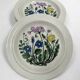 Set of 6 dessert plates "Flora" – Arabia Finland –