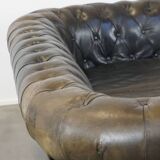 Black 2.5-seater cow leather English chesterfield sofa