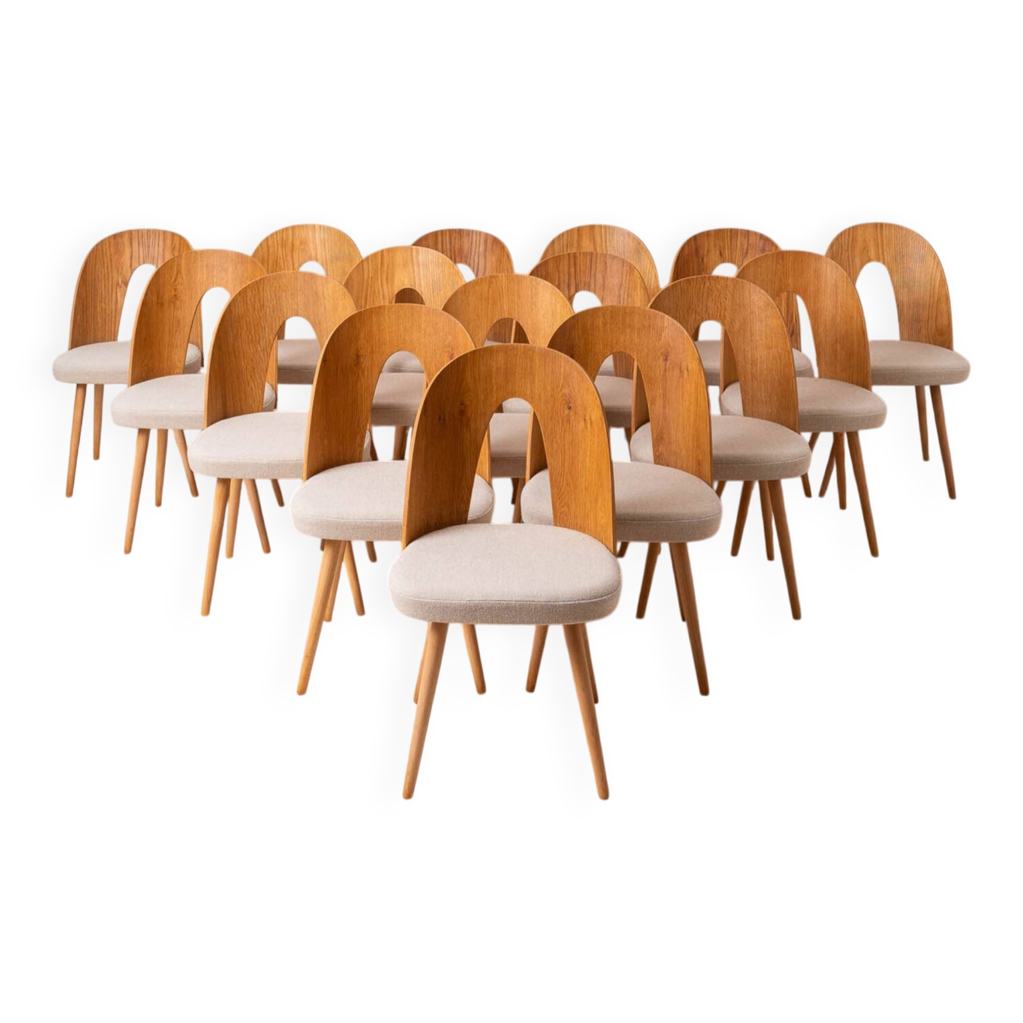 Set of 16 Mid Century Dining Chairs by A.Šuman, 1960s, Reupholstery Options