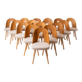 Set of 16 Mid Century Dining Chairs by A.Šuman, 1960s, Reupholstery Options