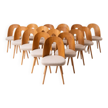 Set of 16 Mid Century Dining Chairs by A.Šuman, 1960s, Reupholstery Options