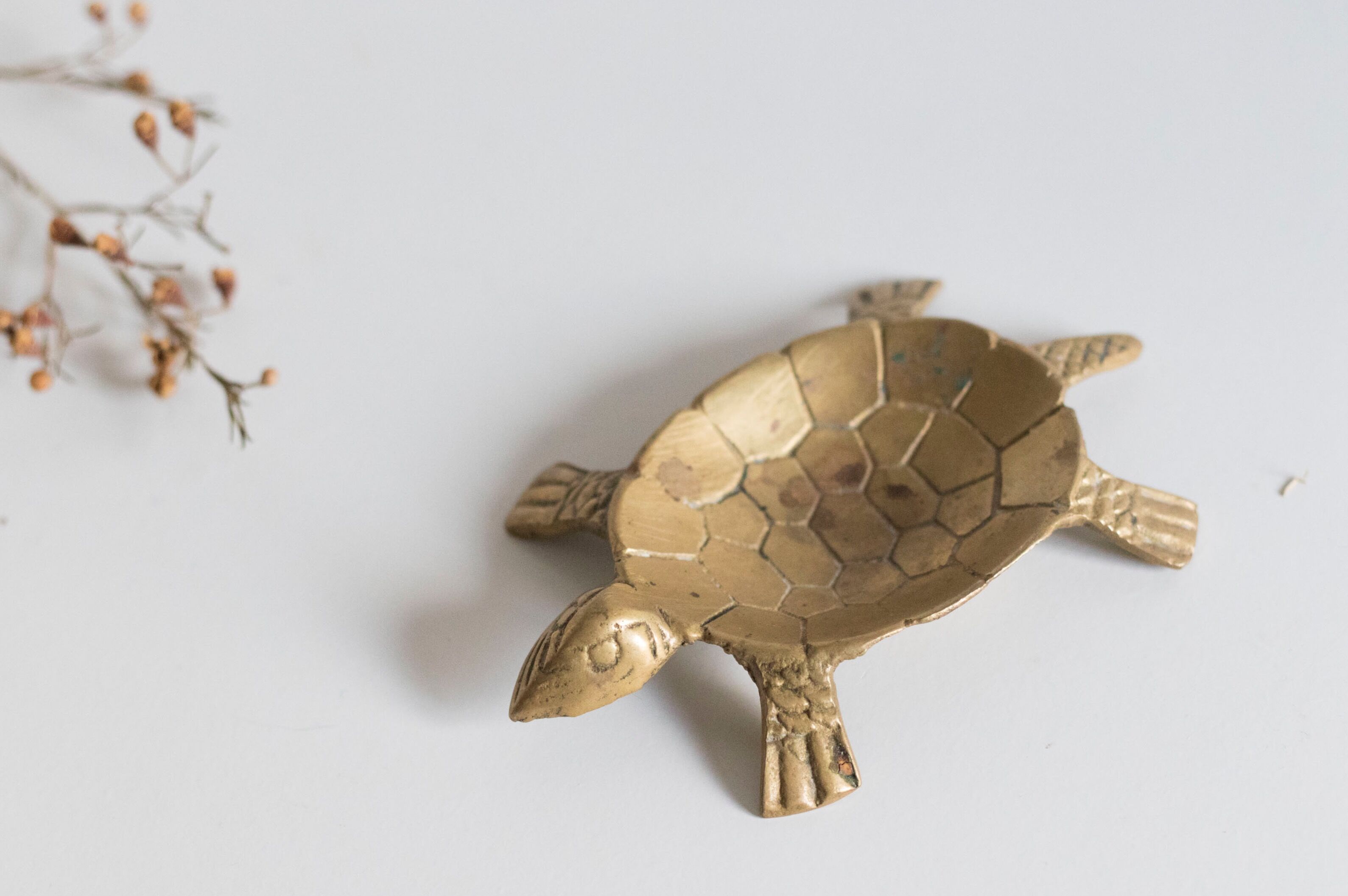 Ashtray / empty turtle brass pockets