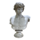 Buste D'Antinous dit Antinoüs Dicouen en plâtre modèle du Louvre