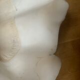 Clam