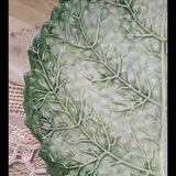 Cabbage leaf plate Barbotine