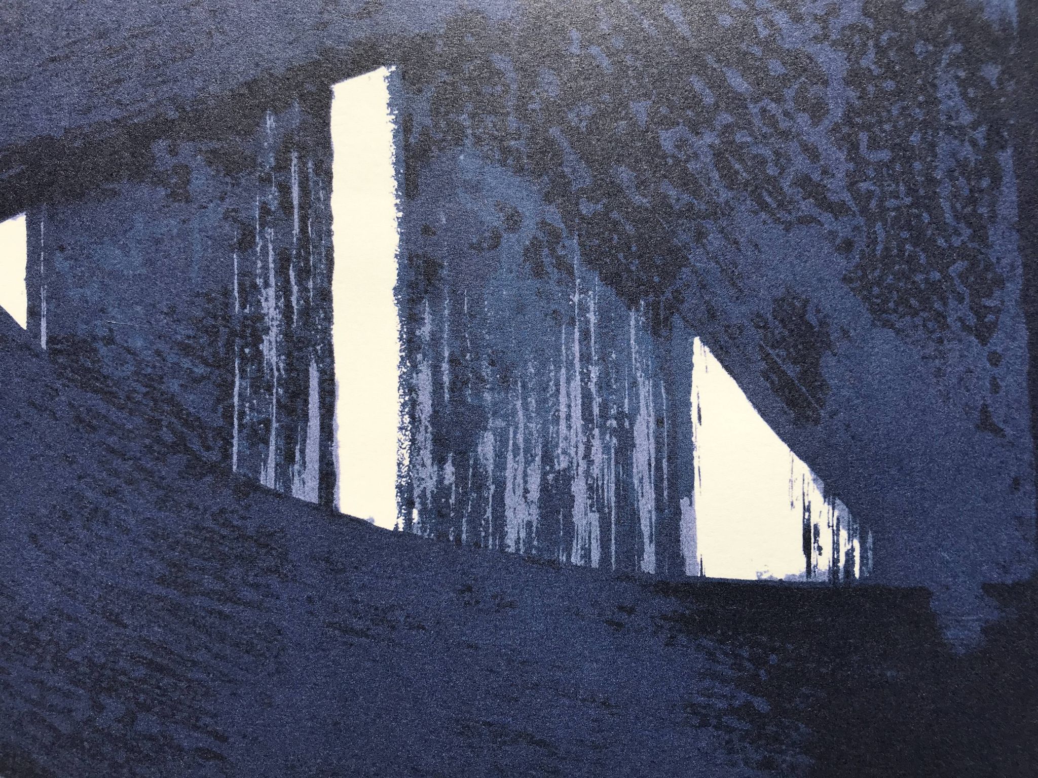 Lithograph N°37, Le Printemps des poètes, 2005