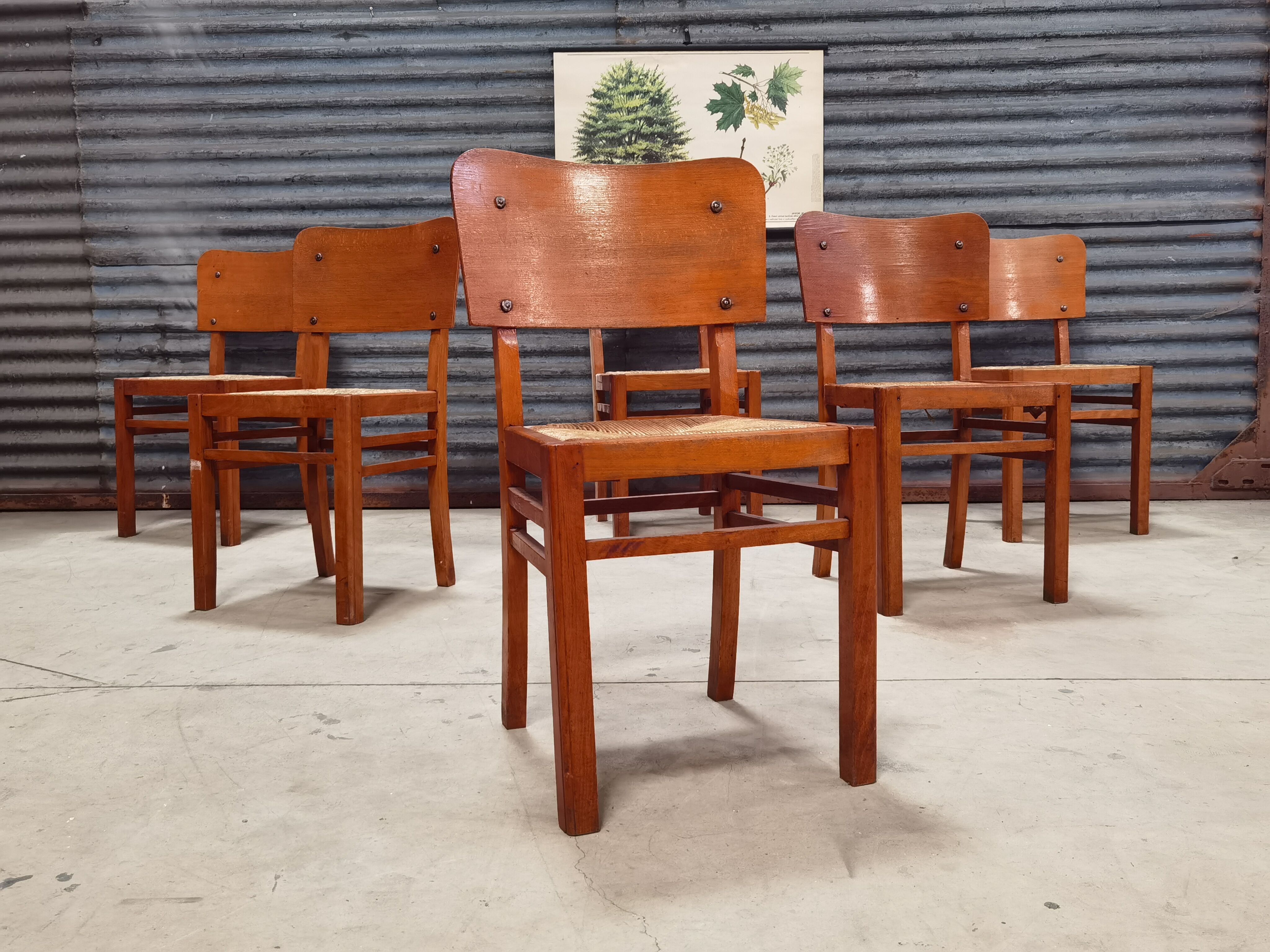 Set of 6 straw wood chairs 1950