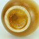 Scheurich vase colorful fat lava flower decor model 484-27