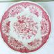 4 presentation plates Villeroy and Boch model Fasan