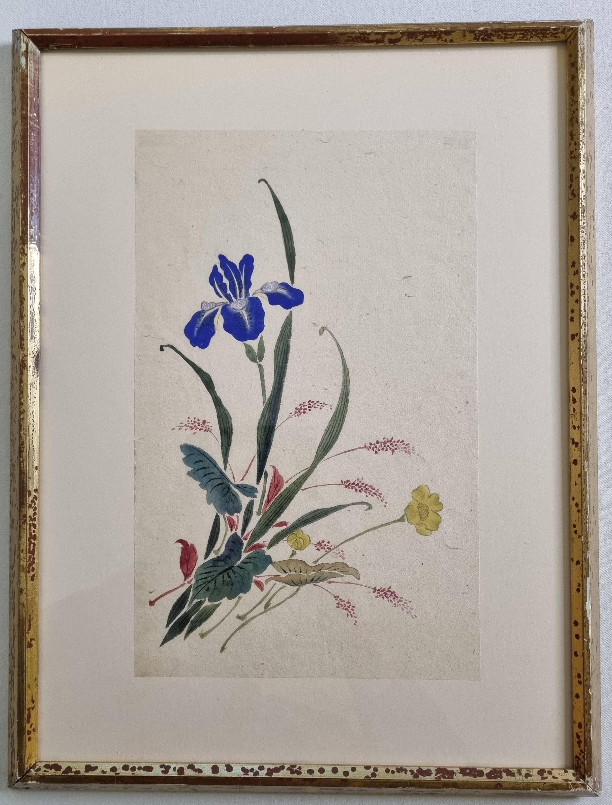 Ancient Japanese watercolour, Iris, Meiji era, around 1900, 33 × 43 cm