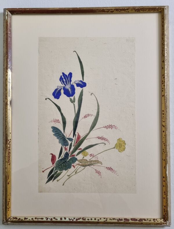 Aquarelle japonaise ancienne, Iris, ère Meiji, vers 1900, 33 × 43 cm