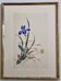 Ancient Japanese watercolour, Iris, Meiji era, around 1900, 33 × 43 cm