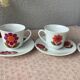 3 Seltmann Weiden K. Bavaria cups - seventies floral decor