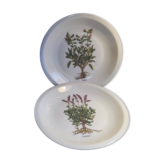 Berry Porcelain dessert plates