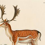 Poster about deer, based on an old engraving from 1774.