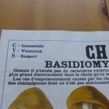 Educational poster DEYROLLE