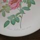 8 oval plates Salins – 1970s – Botanical roses