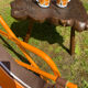 Old orange vintage deckchair