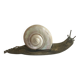 ART DECO SIGNED Snail Night Light - MOTHER-OF-PEARL BRONZE