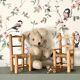 Chairs for dolls