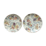 Sarreguemines plates