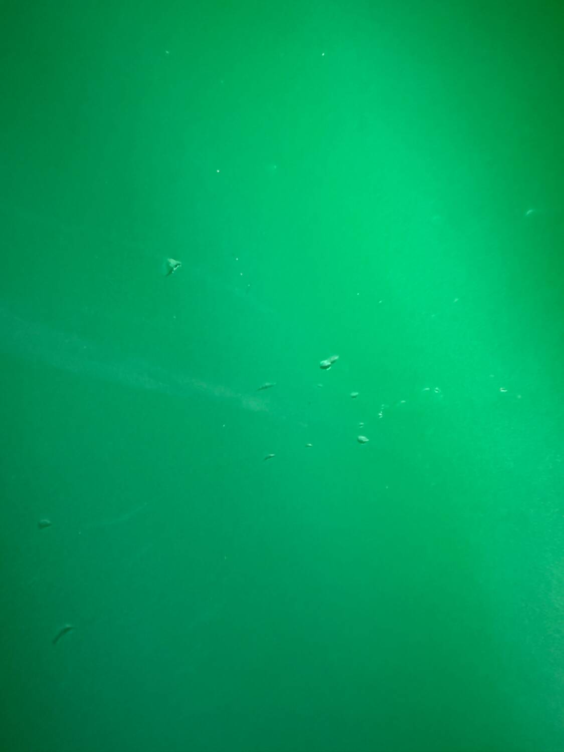 4 Panton chairs by Vitra