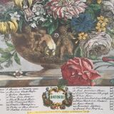 Old English botanical plate for the month of June
