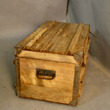 Old trunk
