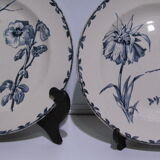 2 plates