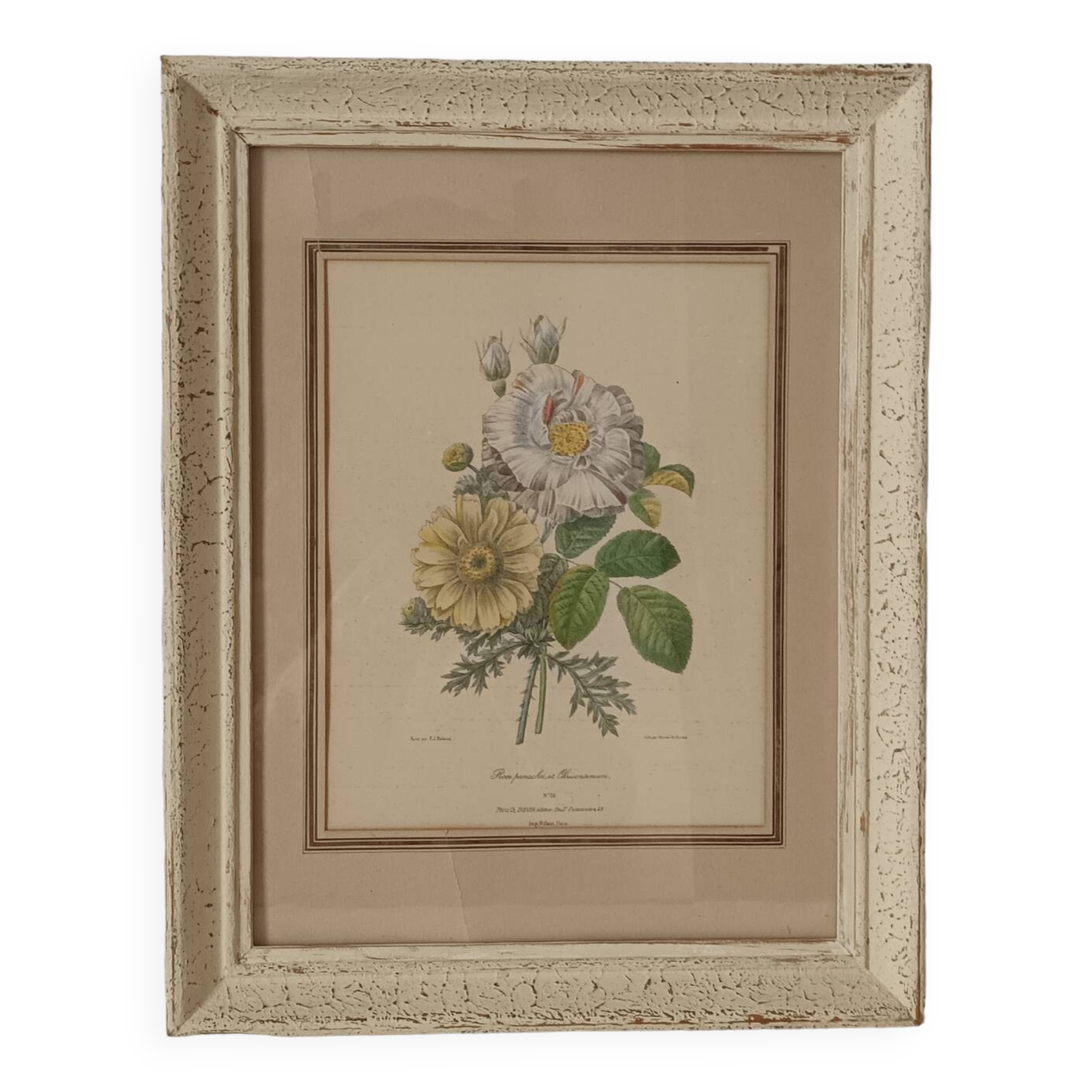Vintage Redouté Botanical Lithograph