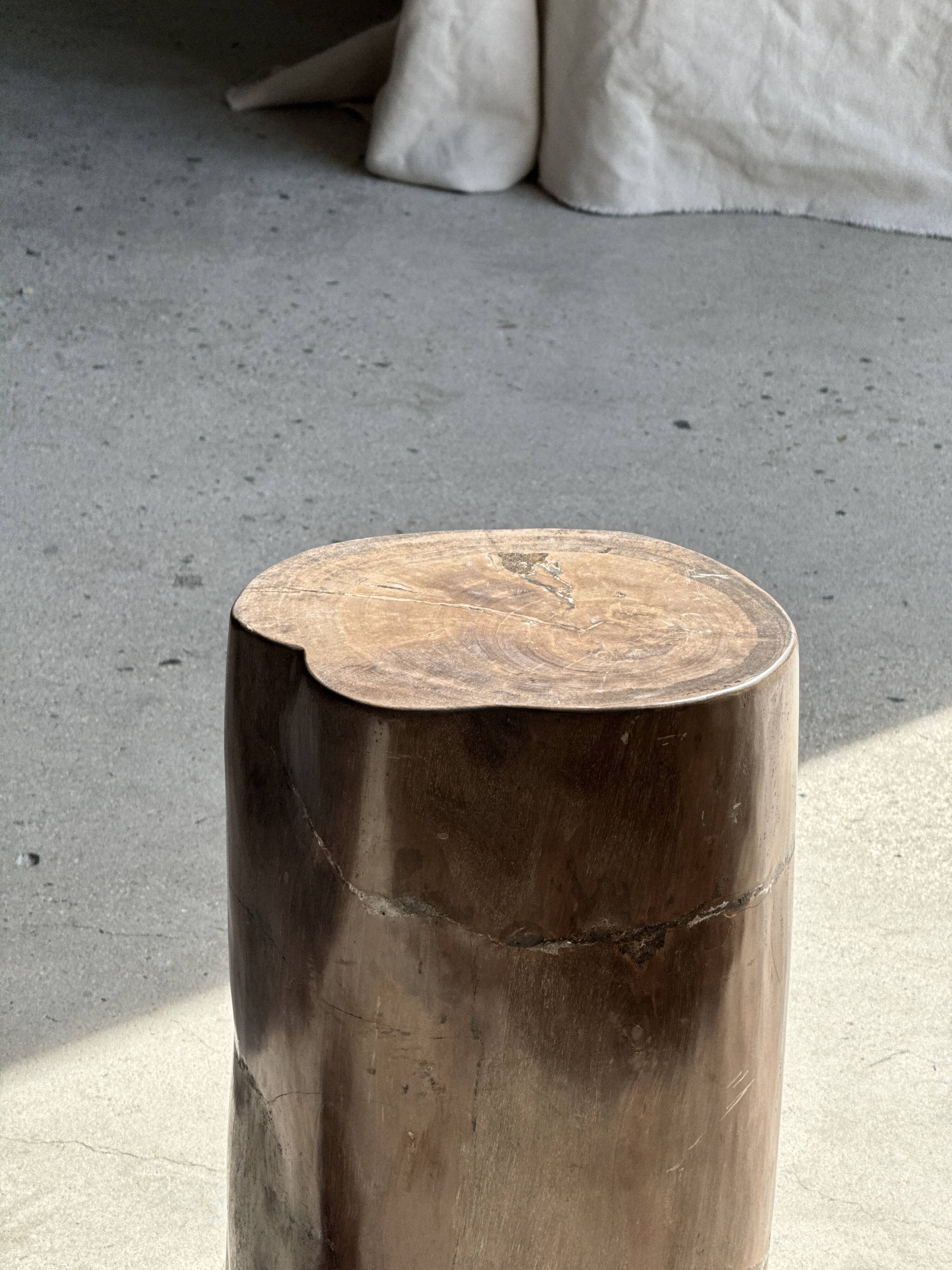 Table d'appoint en bois pétrifié brune H46 D29 - 3338